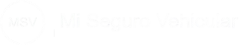 mi seguro vehicular